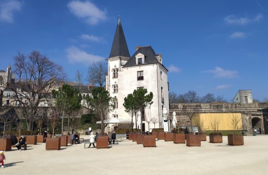 la cours du chateau des ducs de bretagne