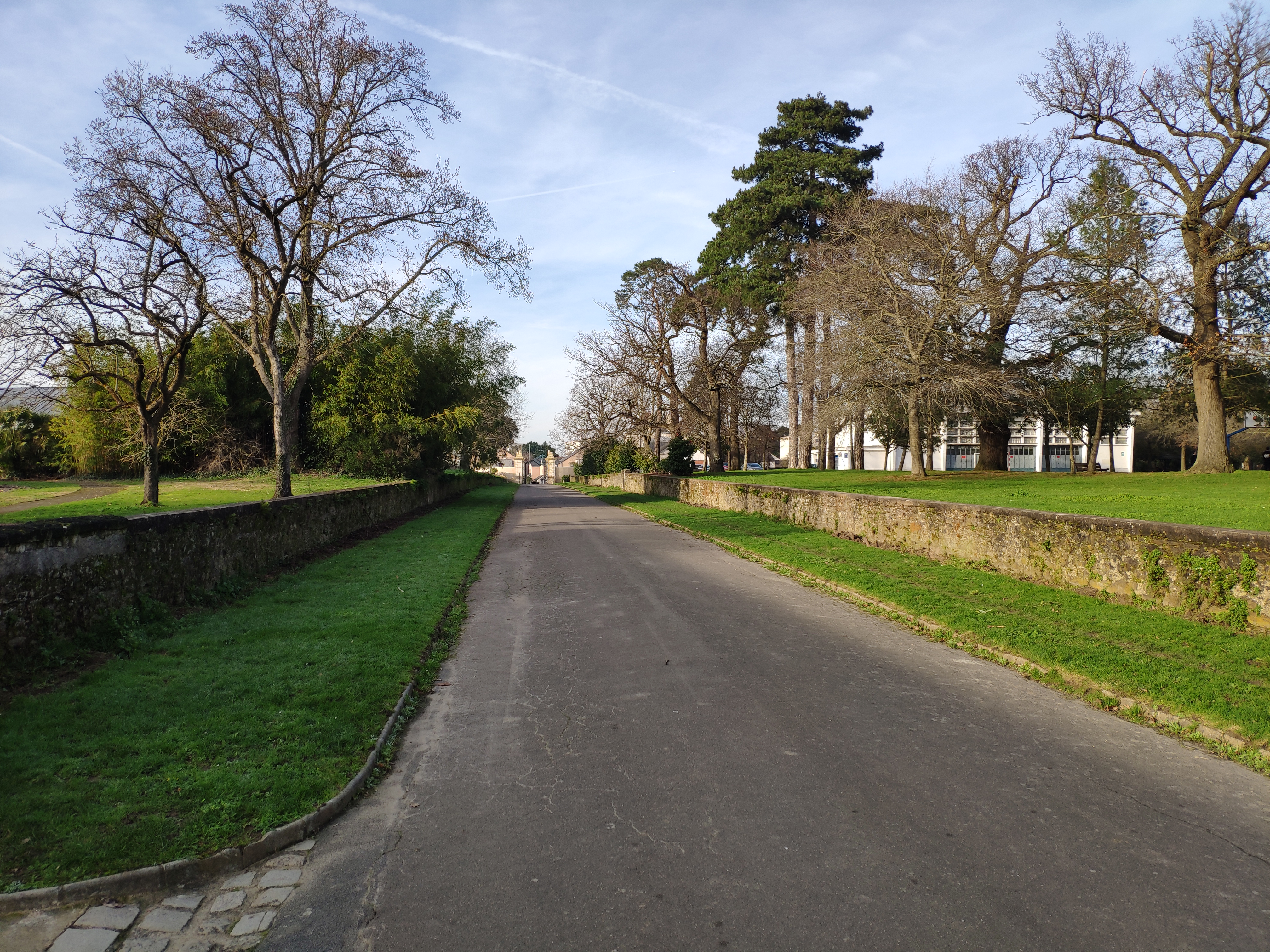 Allée du parc du grand blottereau